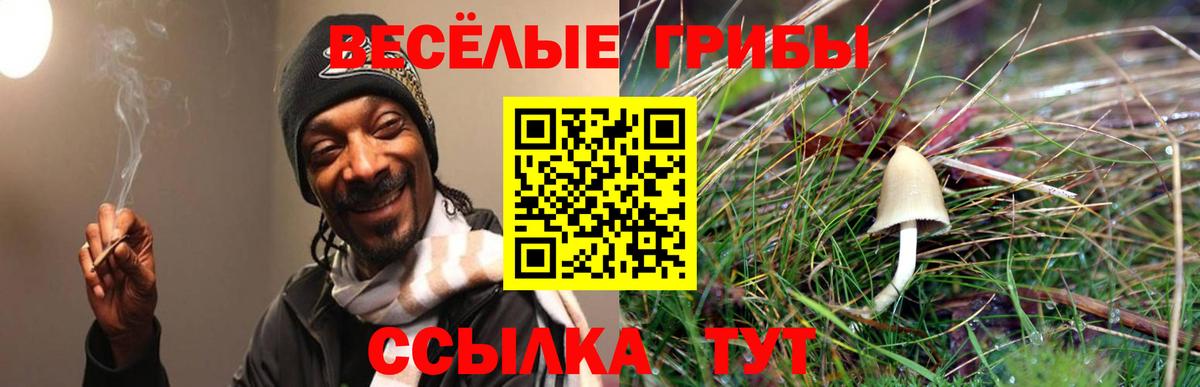 Псилоцибиновые грибы MAGIC MUSHROOMS  Галлюциногенные грибы Psilocybine cubensis  Воткинск  купить  цена  Вход с VPN 