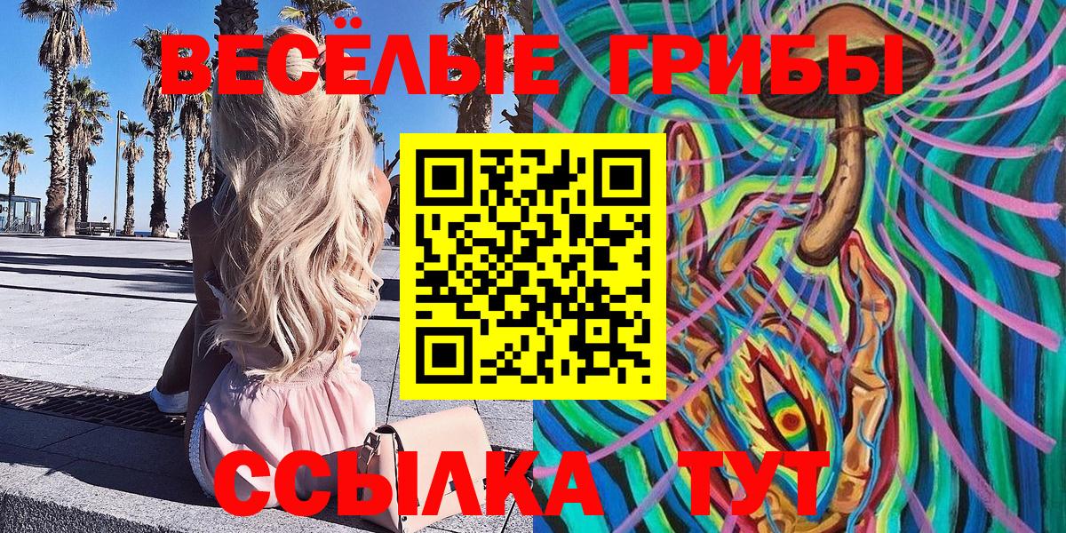 Псилоцибиновые грибы Cubensis Воткинск